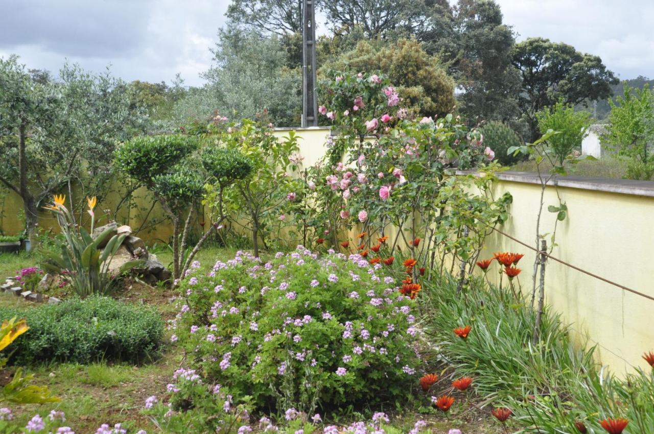 Ferienwohnung O Cantar Dos Passarinhos Fátima Exterior foto