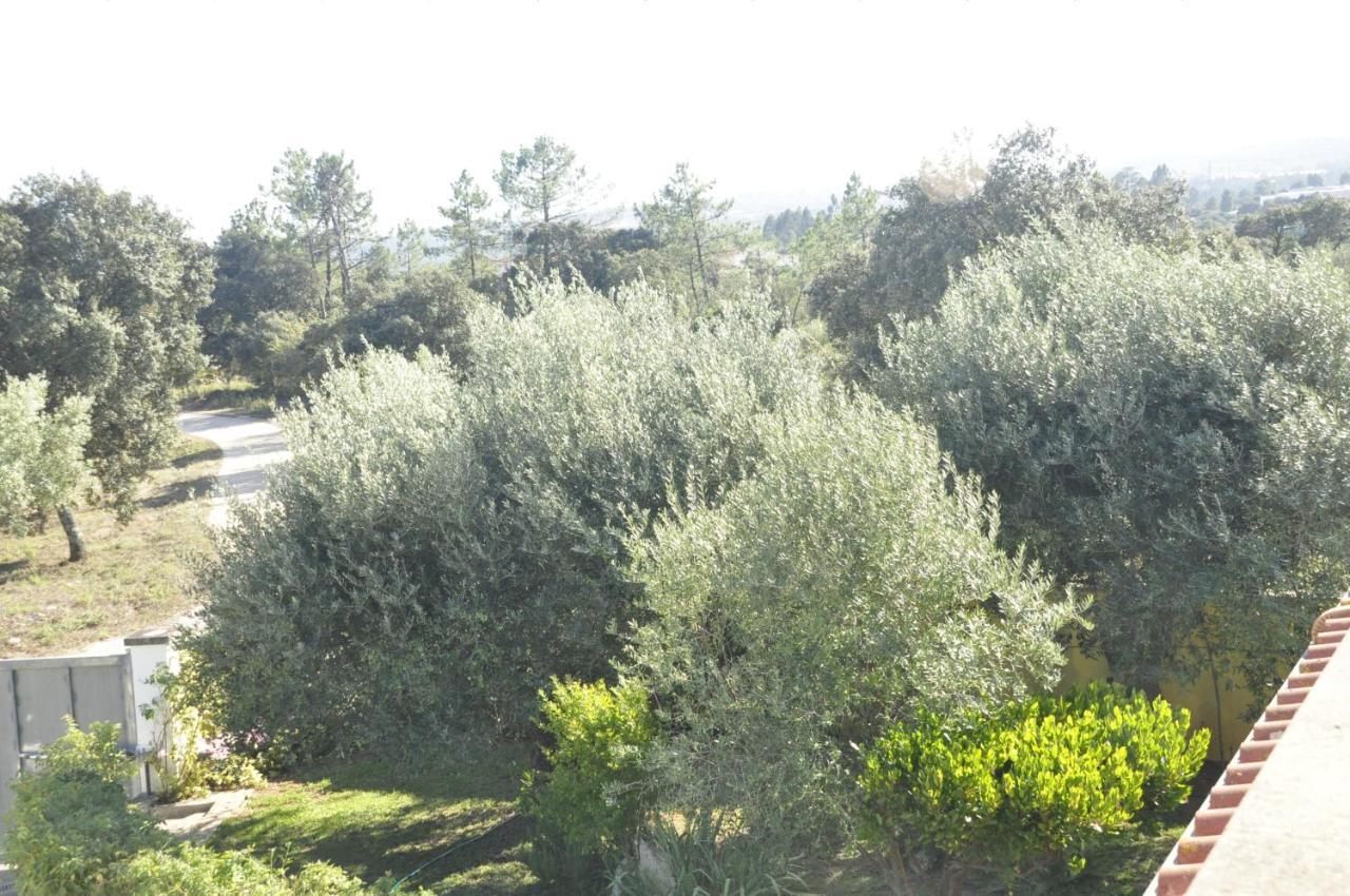 Ferienwohnung O Cantar Dos Passarinhos Fátima Exterior foto