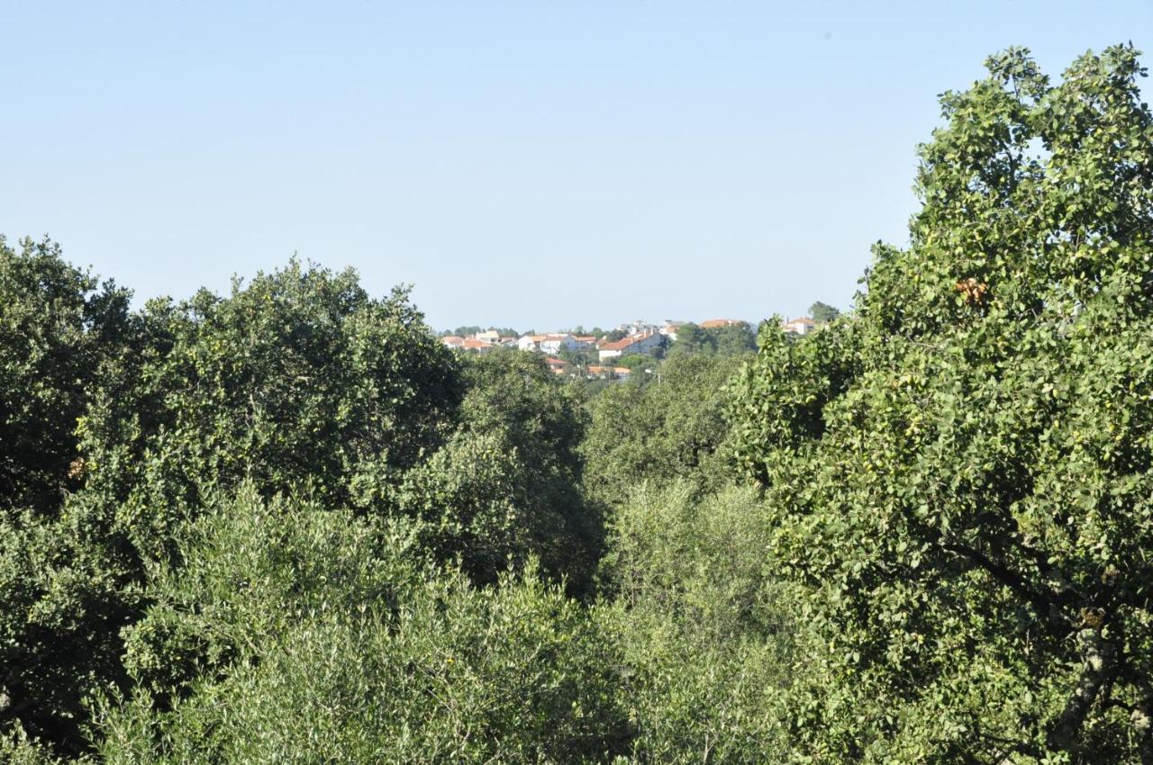 Ferienwohnung O Cantar Dos Passarinhos Fátima Exterior foto